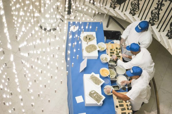 jrf-dishesbydoe-135 jrf-dishesbydoe-135